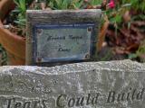 image of grave number 924420